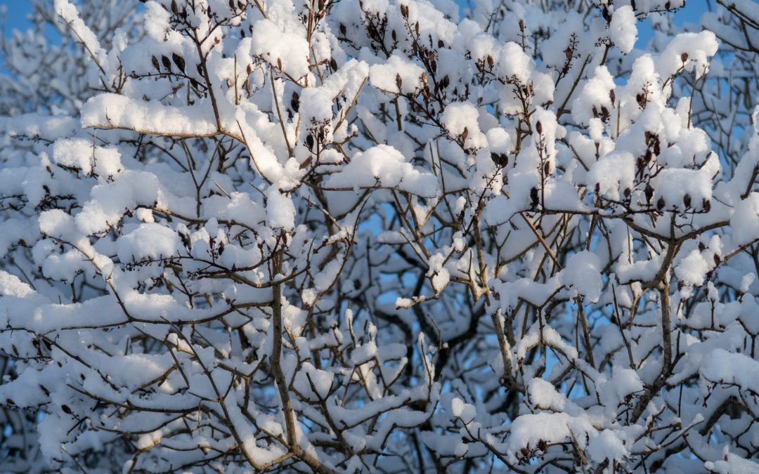 Ny start på kohur.fi