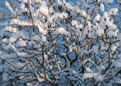 Ny start på kohur.fi